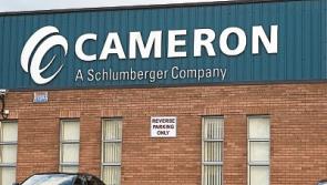 IDA accused of 'blue murder' over Cameron