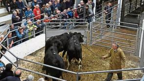 Calls for Farm Assistance programme for Longford farmers 