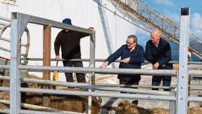 Longford Leader Farming: Exports to Turkey will help farmers