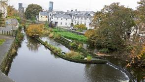 EXCLUSIVE: Longford in line for multi million euro regeneration windfall
