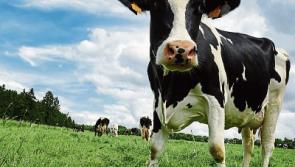 ICSA committed to helping Longford caught up in vulture fund loans