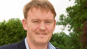 Appeal to Longford firms as new tourism website takes shape