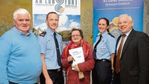 CAB investigations underway in Co Longford