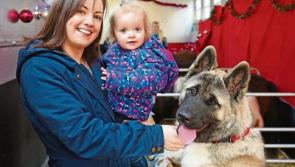 Longford's HHO takes animal welfare programme to another level