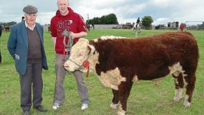 Longford and Kenagh mourns death of award-winning breeder Willie Jones