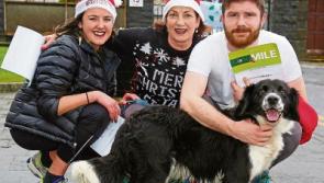 A pet in Longford is not just for Christmas
