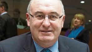 ICSA dismisses Hogan's safety proposals