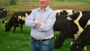 Longford Leader farming: ICMSA's Comer criticises HSE official's 'casual slur against farm families'