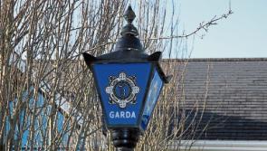 Longford Gardaí seize documents and weapons in series of raids