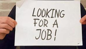 Job opportunities   at Career Zoo