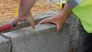 Planning sought to build 20 houses in Longford 