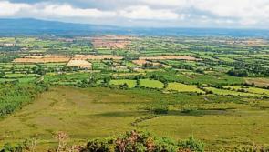 Longford Leader Opinion: Growing up in rural Ireland