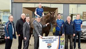 Nally Bros Hyundai in Ballymahon are new sponsors of Longford GAA Race Day 