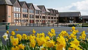 Punchestown to get €3 million facelift after 2022 festival 