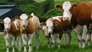 Climate action a 'huge challenge' for agriculture