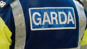 Raiders stopped in tracks during attempted Longford burglary