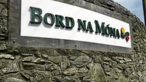 Bord na M&oacute;na issues revised plan for County Longford windfarm