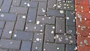 Eighty local firms back Longford chewing gum removal clean-up