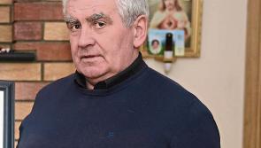 Court is told Newtowncashel pig farmer is co-operating with Longford County Council to clean up site 