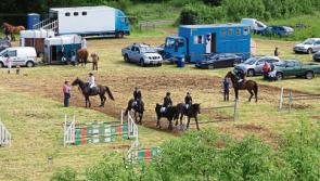 116th County Show promotes 'Creative Longford'