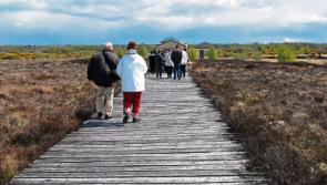 Naughten to turn sod on Co Longford walkway development tomorrow