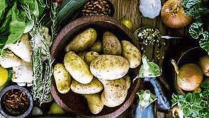 Creed urges agri-food companies to take Brexit precautions 
