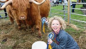 Top class Longford Show hailed as one of the best on record