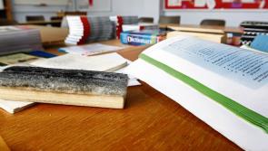 'Government must get on with the job' - TD demands booster priority for educators