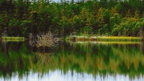 Man dies in tragic accident at Midlands lake