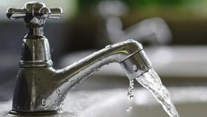 Flush and go - Longford GAA clubs warned about bacteria dangers due to stagnant water during Covid lockdown