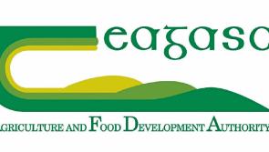 Dealing with drought conditions on Longford farms