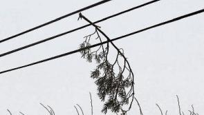 Longford weather alert: Snow and wind on the way as Met &Eacute;ireann issues two weather warnings 