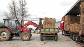 Longford/Westmeath TD says  measures being taken to prevent winter fodder shortage 