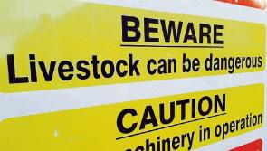 Longford Leader Farming: Child safety on farms
