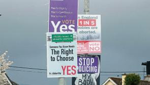 Longford Gardaí respond to complaints over canvassing material  