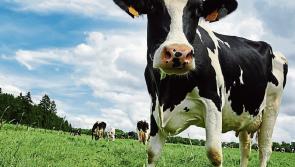 Longford Leader Farming: Activation of three-year cap for family farms under Fair Deal is a significant step