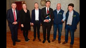 Partnership will be key to Longford's Just Transition - Ryan