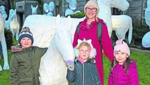 PICTURES | Ireland's largest outdoor lantern installation lights up Longford’s Connolly Barracks 
