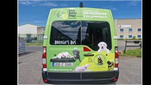 Almost €4,000 raised at Longford presentation of Breege's Bus to Irish Guide Dogs for the Blind