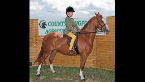 Youngsters shine in array of horse and pony events at Longford Agricultural Show