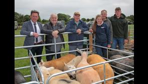 Longford Show in appeal for new members to ensure the show goes on