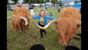 New venue revealed for 2023 Longford Show