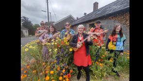 Longford's Sneaky Tequilas to play at boutique Galway Uke Fest