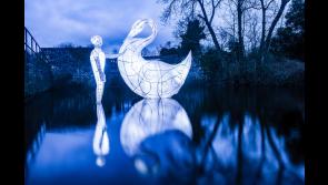 Enjoy spectacular displays at Longford Lights Festival