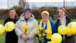 Longford folk urged  to support Daffodil Day