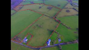 Longford farm to be sold at online auction