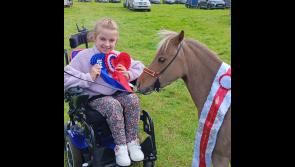 Longford's Layla and 'Barbie' win overall accolade at Tullamore Show for second consecutive year