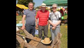 A great day out for all the family at Ballinamuck Olde Fair Day on Sunday