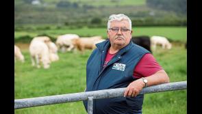 Investigation into Bord Bia QA proposals needed