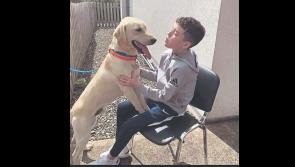 Longford's Cian’s Kennels in bid to open in new Children’s Hospital
